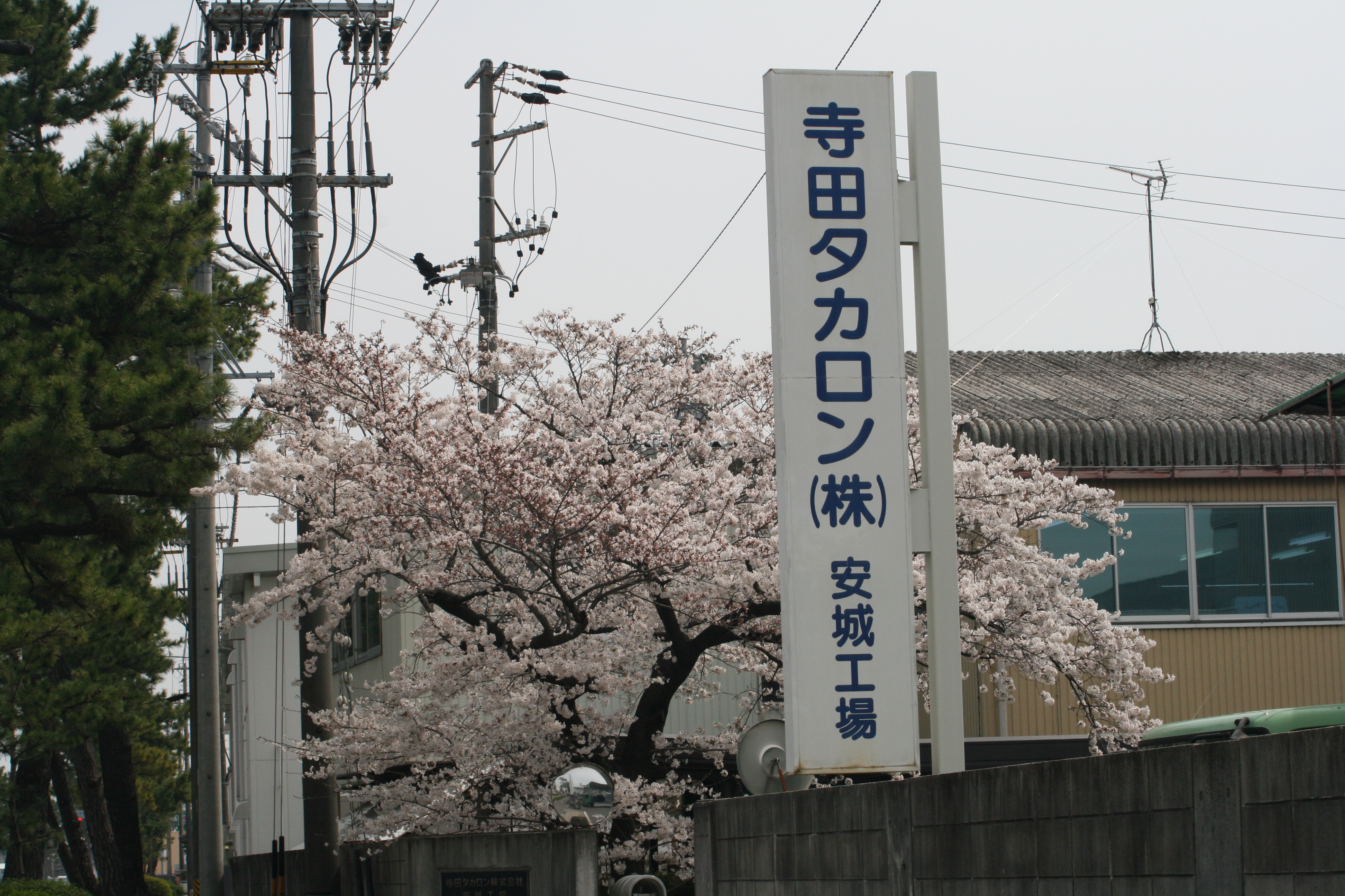 工業用,産業用,自動車用フェルトの寺田タカロン